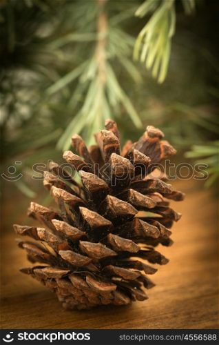 Pinecone closeup on a wooden table