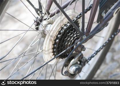 pinion of the rear wheel of the bicycle