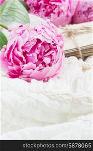 pink a peony on lace. fresh pink peonies on white lace background