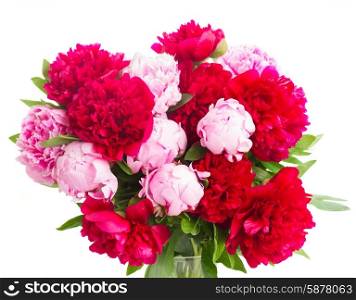 pink and red peonies. bouquet of fresh pink and red peonies close up isolated on white background