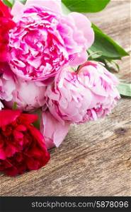 pink and red peonies. bouquet of fresh red and pink peonies on wooden background