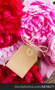 pink and red peonies. bouquet of fresh red and pink peonies with empty paper tag