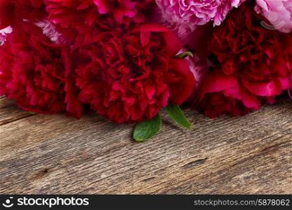 pink and red peonies. bouquet of fresh red peonies on wooden background