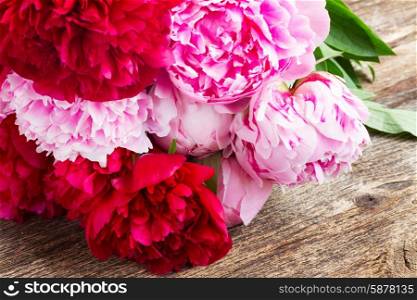 pink and red peonies. bouquet of red and pink peonies on wooden background