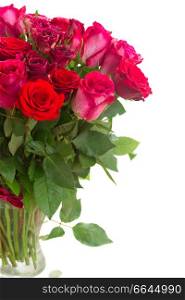 pink and red roses in glass vase close up isolated on white background. Border of red and pink roses