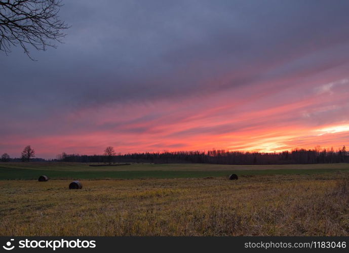Pink and red sunset over hayfields with bales of hay surrounded by trees in Latvia in late autumn