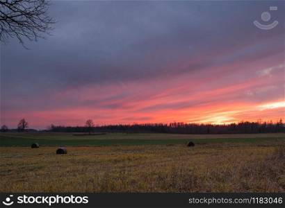 Pink and red sunset over hayfields with bales of hay surrounded by trees in Latvia in late autumn