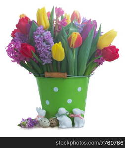 Pink and violet hyacinths with tulips in green pot isolated on white background. hyacinths and tulips