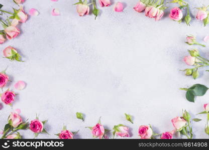 Pink and white fresh wild rose flowers frame with copy space on gray background. Pink and white rose flowers