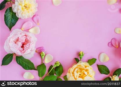 Pink and white peonies on a pink background. Pink peonies. Vintage background with flowers and place under the text. View from above. Pink and white peonies on a pink background. Pink peonies.