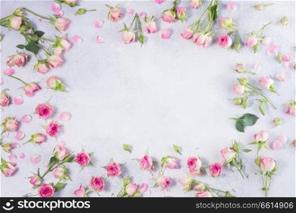 Pink and white rose flowers frame with copy space on gray background. Pink and white rose flowers