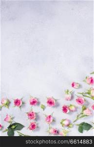 Pink and white rose flowers pattern with copy space on gray background. Pink and white rose flowers