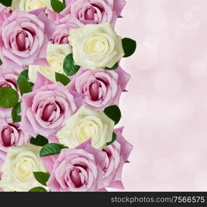 pink and white roses boder with copy space