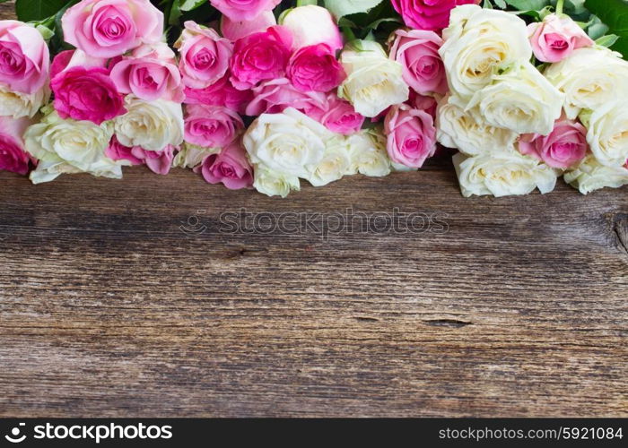 pink and white roses . fresh pink and white roses border on wooden table