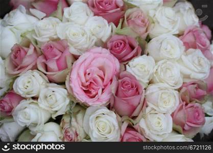 Pink and white roses in a wedding bouquet