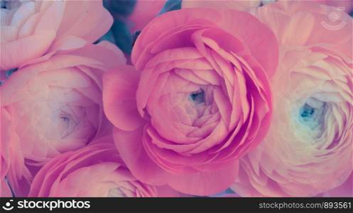Pink anemone flower bouquet background