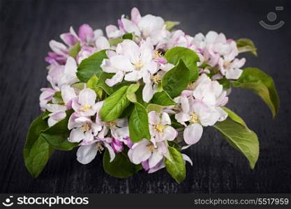 Pink apple blossoms. Pink apple blossoms bouquet on dark wood background
