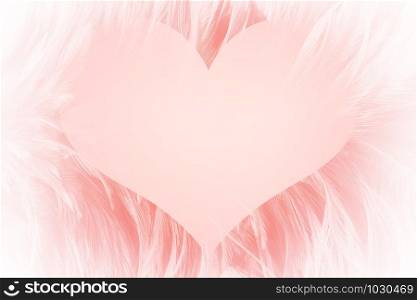 Pink Background love heart feather angels for design elements,Happy valentines day,wedding card