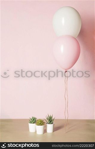 pink balloons cactus