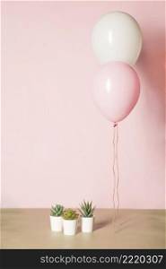 pink balloons cactus
