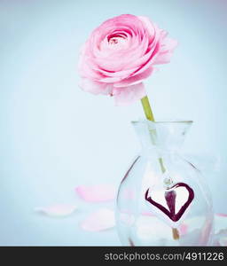 Pink buttercup in glas vase with heart on blue background