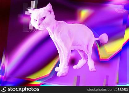 Pink cat. Retro wave synth vaporwave portrait of a funny cat. Concept of memphis style posters. Minimal design concept. Modern art.. Pink cat. Retro wave synth vaporwave portrait of a funny cat. Concept of memphis style posters.