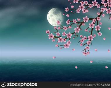 Pink cherry blossom, sakura branch at night time.