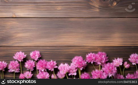 Pink chrysanthemum flowers on wooden background. Top view with copy space