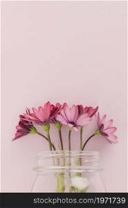 pink daisies inside glass jar. High resolution photo. pink daisies inside glass jar. High quality photo