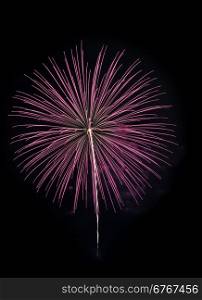 Pink fireworks exploding in the night sky