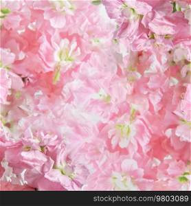 Pink floral background with petals, close up