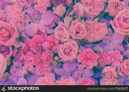 Pink flower background of rose, carnation and orchid. Soft filtered effect image