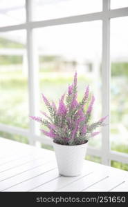 pink flower plant in jar