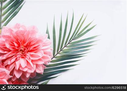 Pink flowers and tropical leaves on on white desktop background, top view, creative layout with copy space, border, close up