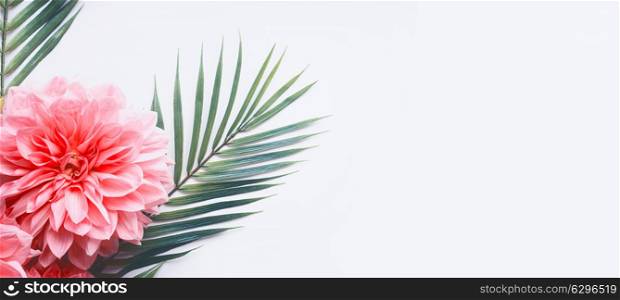 Pink flowers and tropical leaves on on white desktop background, top view, creative layout with copy space for banner or template , border, close up