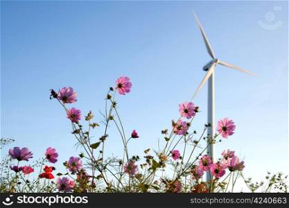 pink flowers and wind turbine with blue sky