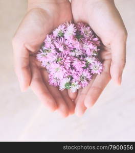 Pink flowers in hands with retro filter effect