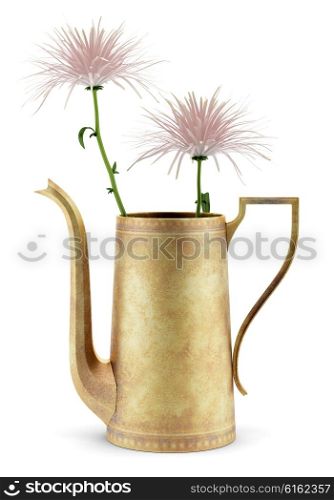 pink flowers in teapot isolated on white background