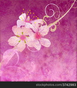 pink flowers on dark pink background grunge illustration