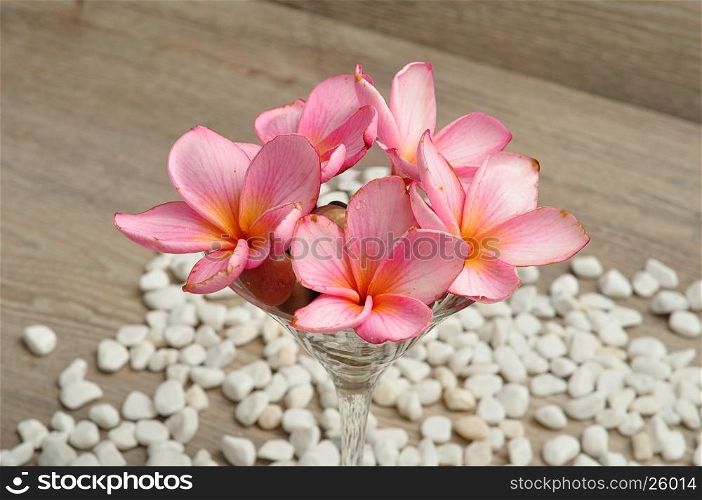 Pink frangipani flowers in a container to be used as decoration