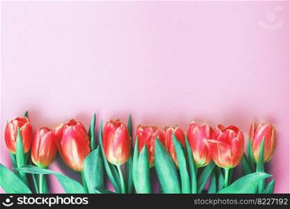 Pink fresh flowers tulips background with a copy space. Romantic composition. Flat lay, top view.. Pink fresh flowers tulips background with copy space. Romantic composition. Flat lay, top view.