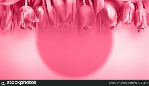 Pink fresh flowers tulips background with a copy space. Romantic composition. Flat lay, top view. International women’s day, mother’s day, holiday concept. banner. Pink fresh flowers tulips background with copy space. Romantic composition. Flat lay, top view.