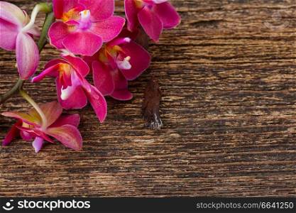 Pink fresh  orchid flowers close up on wood. Bunch of violet orchids 