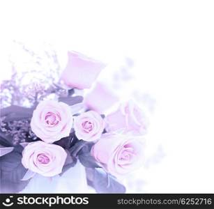 Pink fresh roses bouquet, border composition, isolated on white background, symbol of love, romantic gift, holiday present