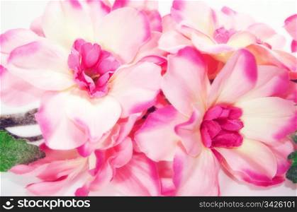 Pink fresh spring flowers background