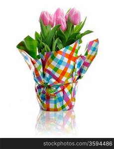 Pink Fresh Tulips In A Flower Pot