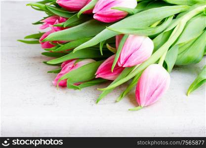 pink fresh tulips on white wooden background close up. Pink fresh tulips