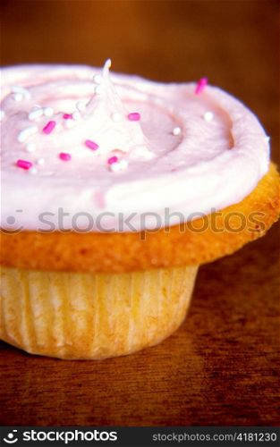 Pink Frosted Cupcake