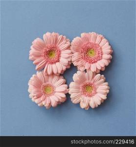 Pink gerbera flowers in the shape of a square, a figure with a tetris game on a blue paper background. Flat lay.. Pink gerbera flowers in the shape of a square, on a pink paper background.