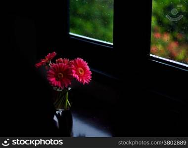 Pink gerbera set up on flower pot, let on table of coffee shop, romantic indoor space with raindrop on glass pane, wooden window